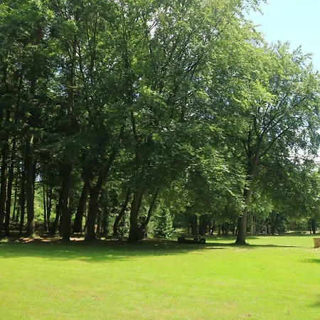 Отель 50|50 Belmont